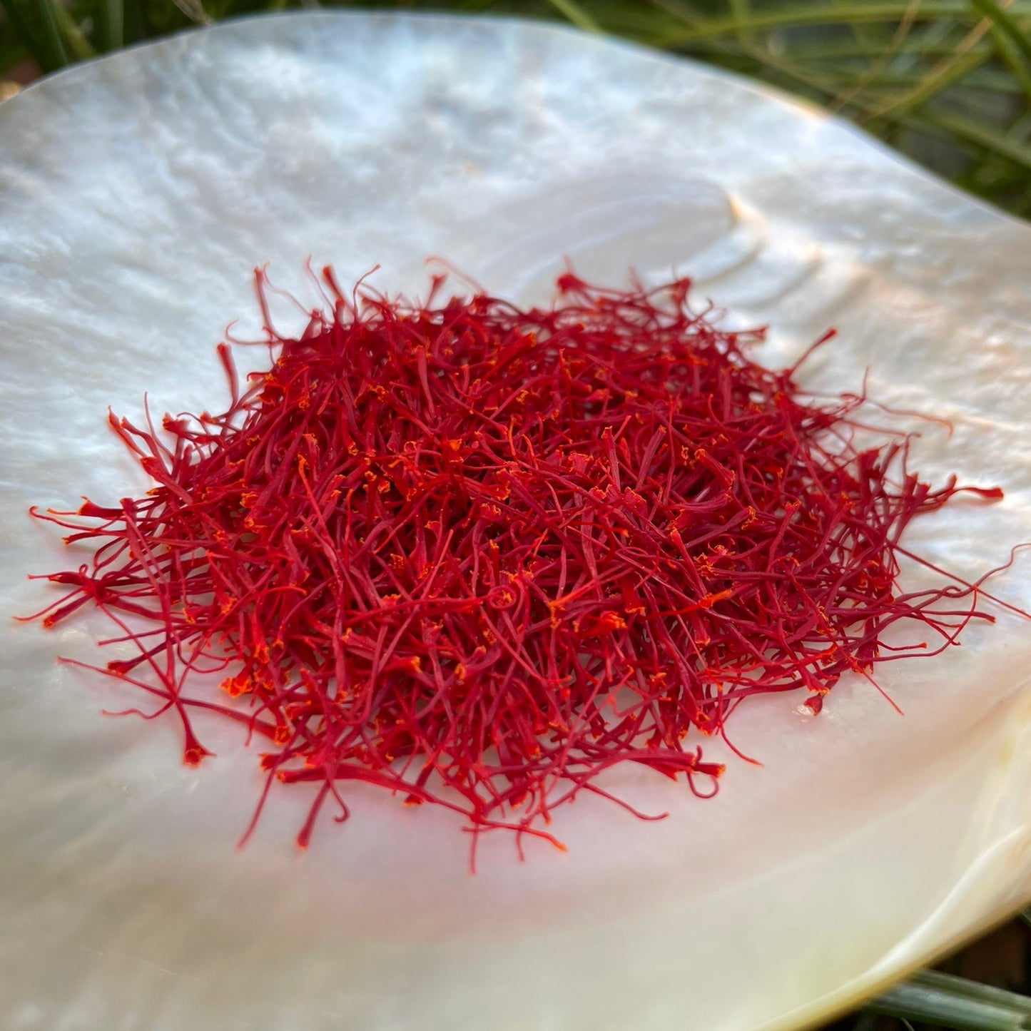 Zafferano puro in stimmi