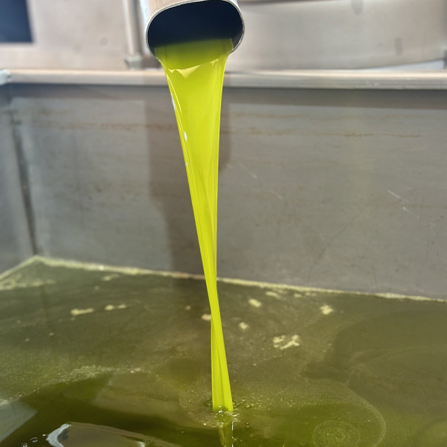 Olio extra vergine di oliva